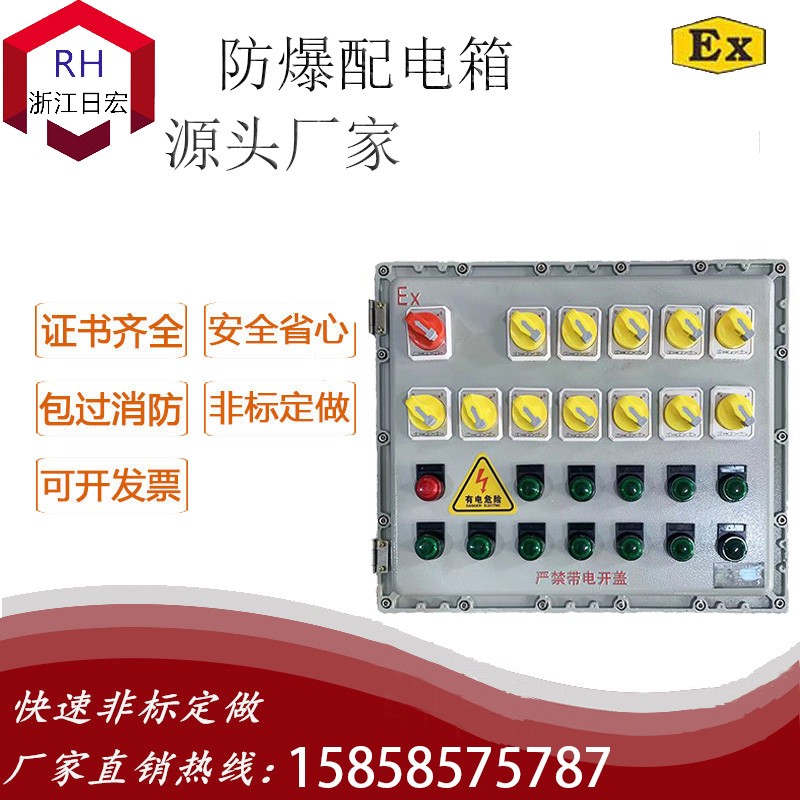 BXM(D)-防爆配电装置（IIBT6 壁挂式）