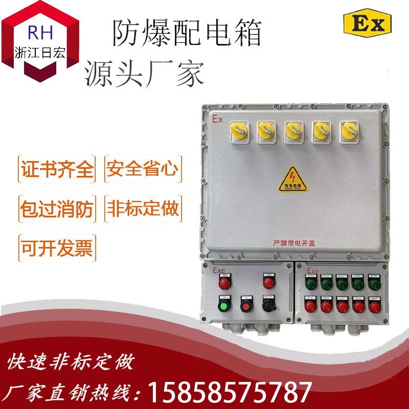 BXM(D)-防爆配电装置（IIBT6 壁挂式）